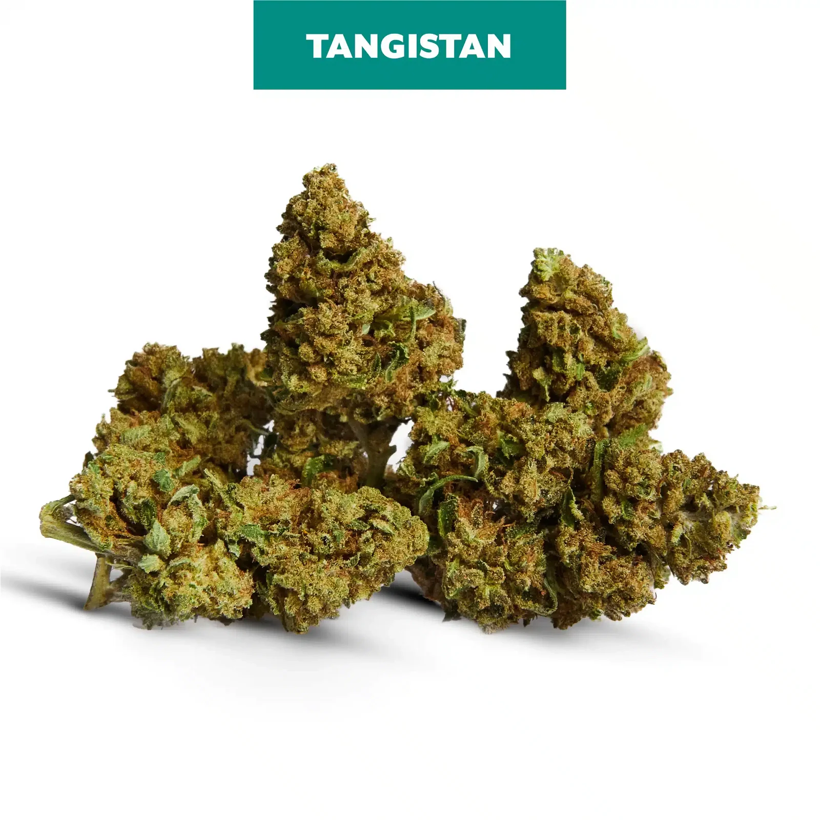 Tangistan CBD Cannabis Light